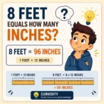 8 Feet Equals How Many Inches
