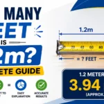How Many Feet Is 1.2m