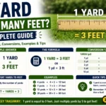 1 Yard How Many Feet